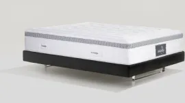 Magnifico Audace Armonia Memoform Dual 12