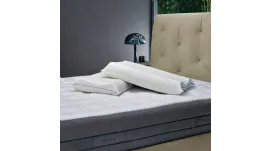 Swan HD