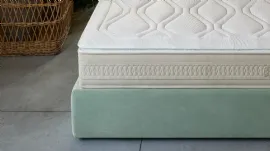 Ambassador