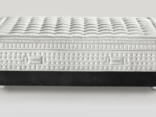 Magnifico Maestro Dual 14