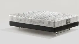 MagniStretch 10
