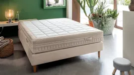 Plain 1600